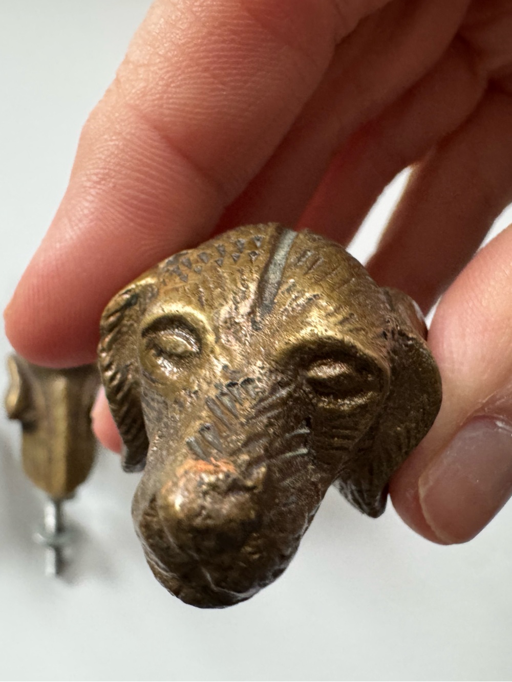 Set of 4 Vintage Style Solid Brass Dog Head Drawer Knobs Labrador Spaniel